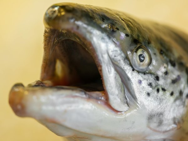 Cultivez votre spiritualité : 7 étapes pour attirer l'abondance