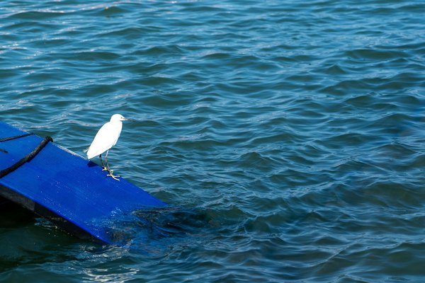 Laboratoire biologie médicale : la nouvelle génération accessible et rapide